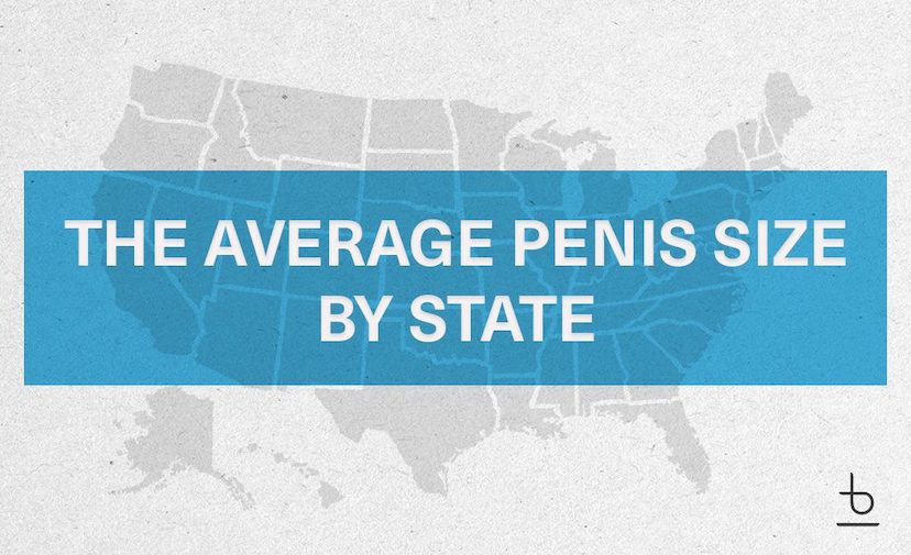 An image that reads 'The Average Penis Size By State'