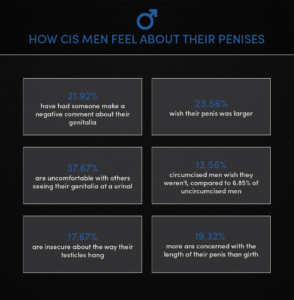 An infographic titled 'How Cis Men Feel About Their Penises'.