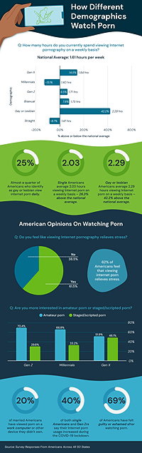an infographic highlighting porn usage statistics in the U.S.