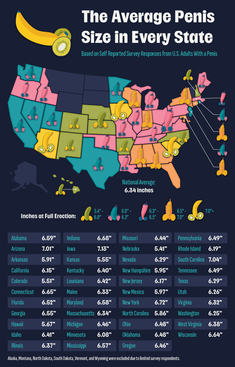 a U.S. map plotting the average penis size in every state.